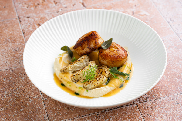 Площадки BUONO