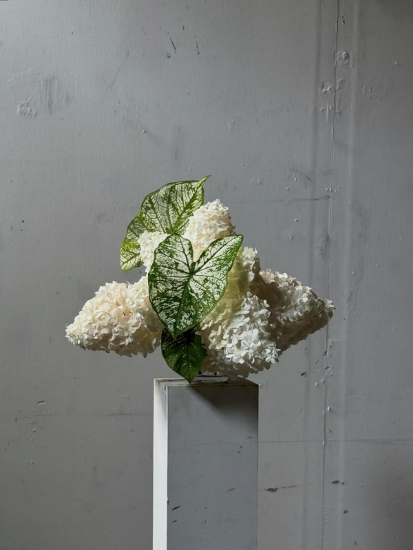 Алый оазис от «Безе» в Savva и