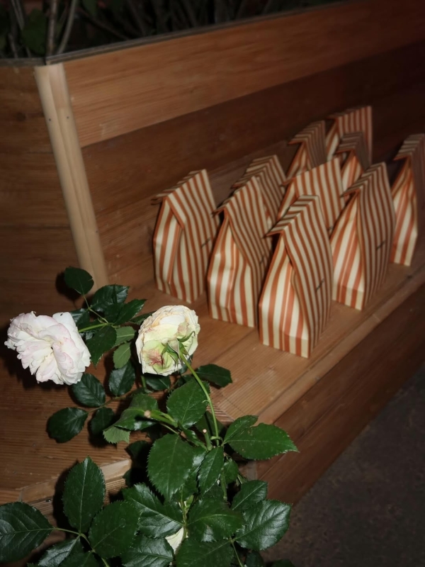 Где смотреть кино под открытым небом в