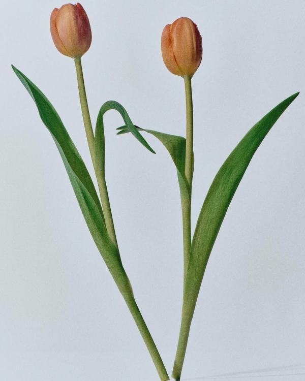 Где найти любовь в большом городе?