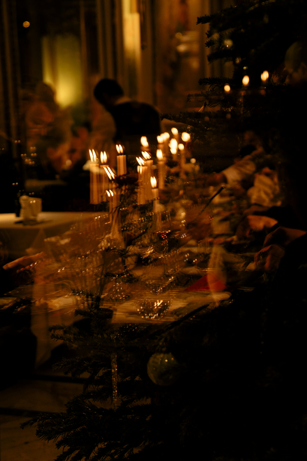 Фотографы Алена Плакс