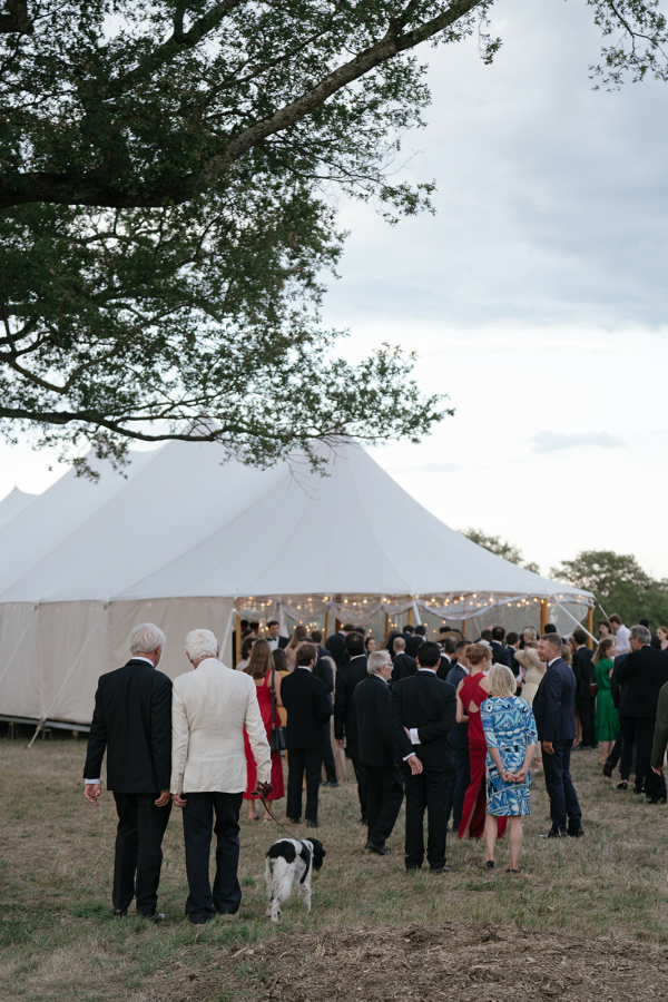 Фотографы Алена Плакс