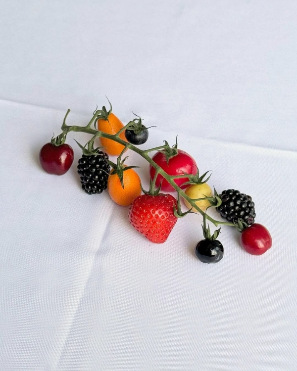 Главные события июля 2025