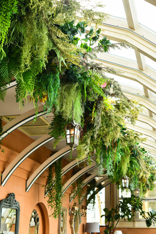 Площадки BUONO