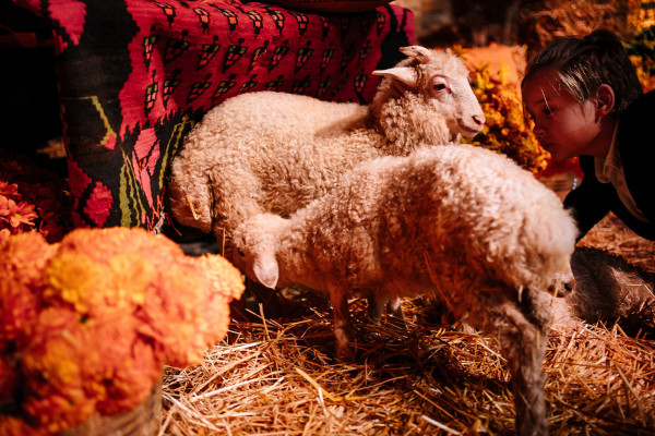 Колоритная свадьба в Грузии