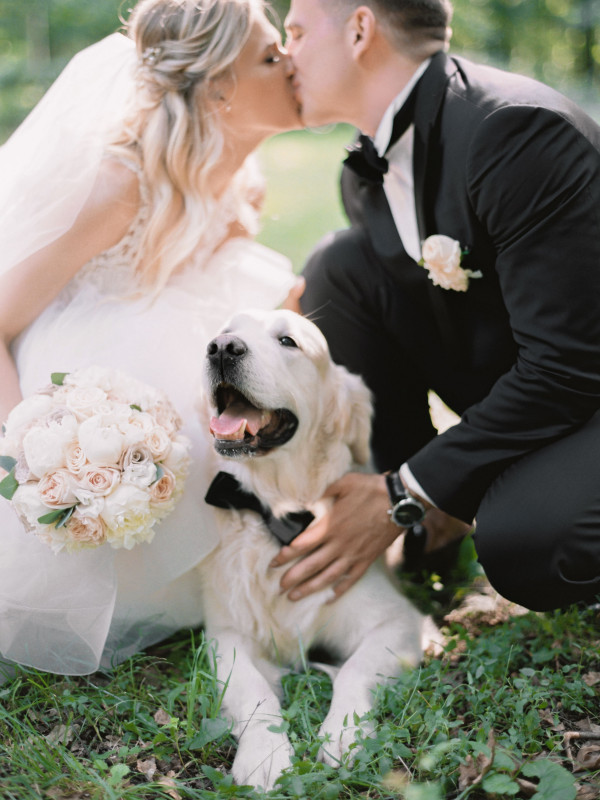 Все о домашних животных на свадьбе