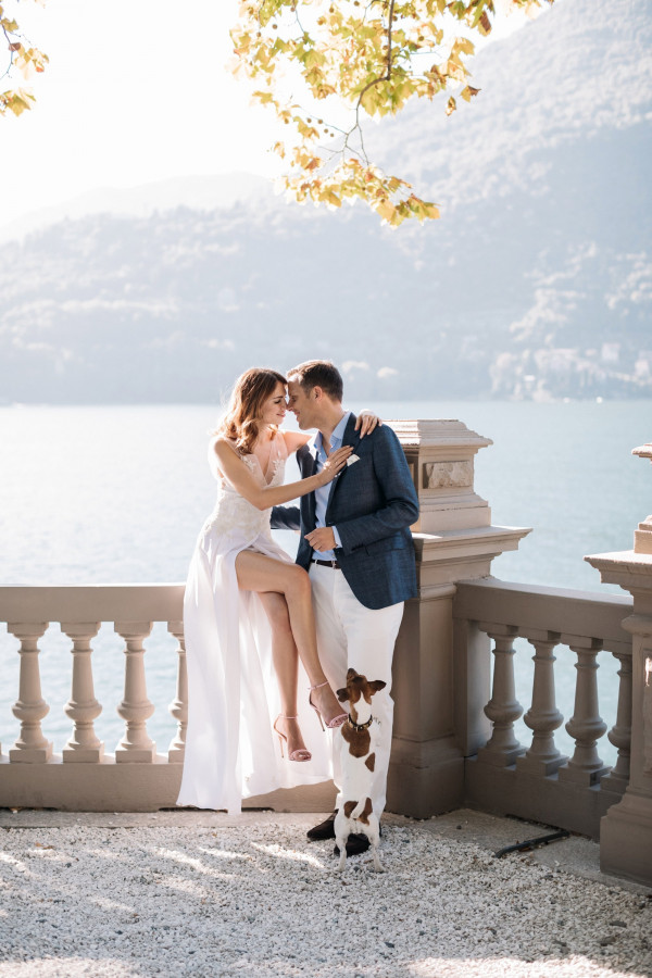 Все о домашних животных на свадьбе