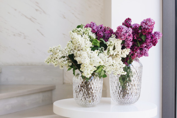 Wishlist Wishlist Atelier16