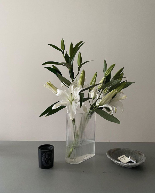 11 полезных дел для влюбленных во время