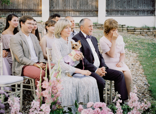 Все о домашних животных на свадьбе