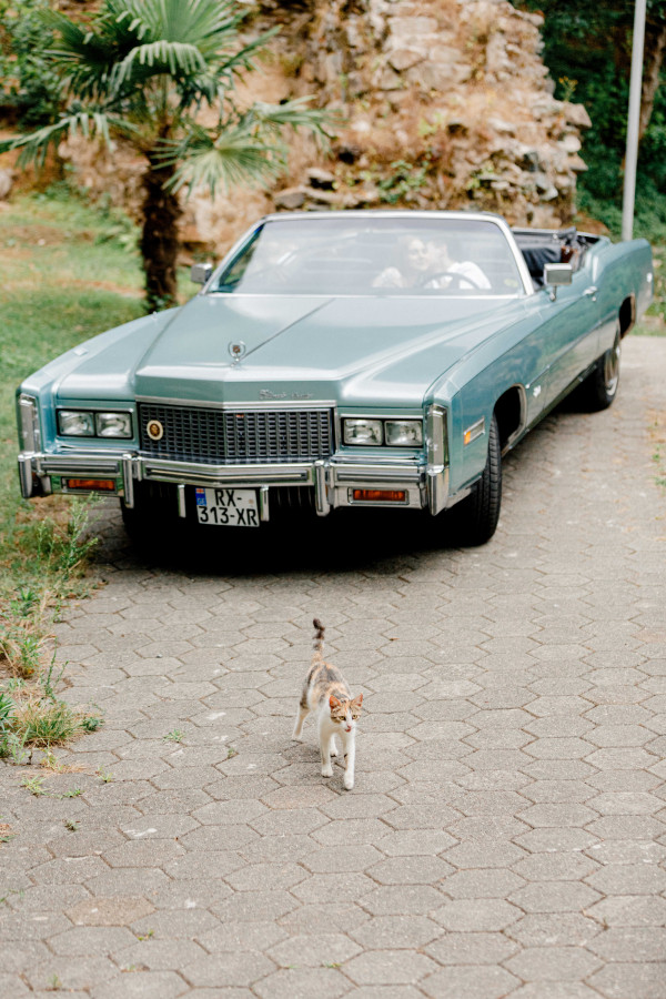 Предсвадебная съемка на побережье Аджарии