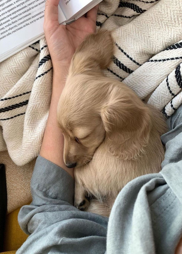 11 полезных дел для влюбленных во время