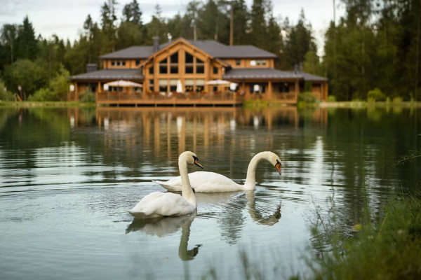 Загородные коттеджи для камерной свадьбы