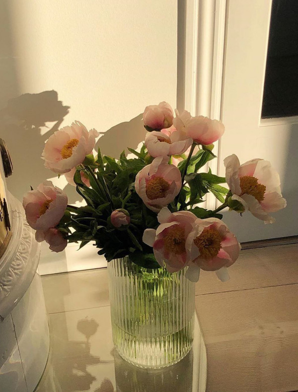 11 полезных дел для влюбленных во время