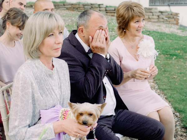 Все о домашних животных на свадьбе