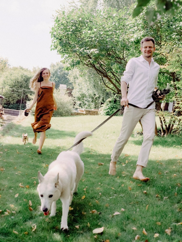 Все о домашних животных на свадьбе