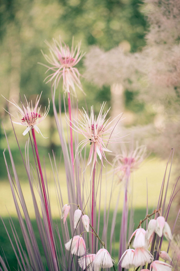 Двухдневная душевная свадьба в Подмосковье
