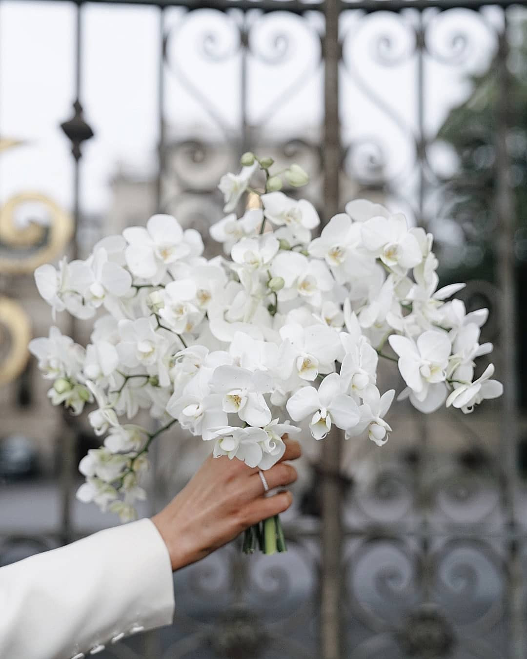 Необычные букеты невест заказать доставку цветов в витебске на дом