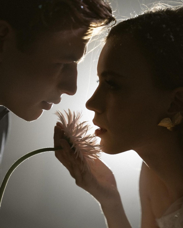 Агентства Cheers