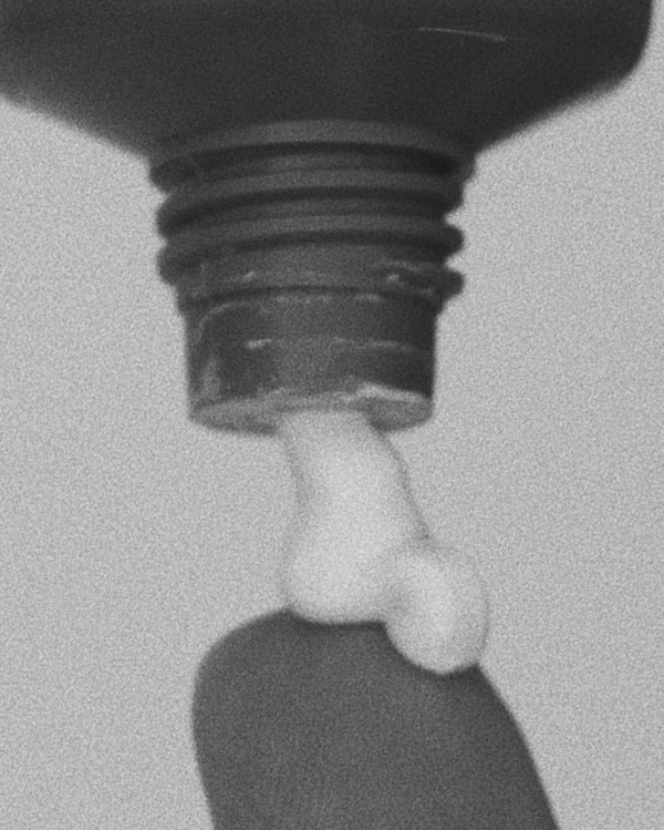 Как ухаживать за губами перед свадьбой