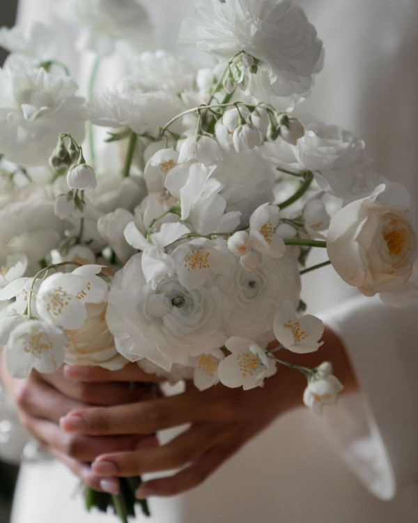 Агентства Cheers