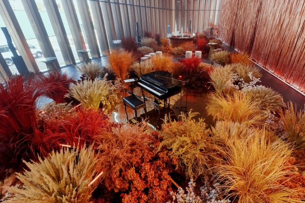 Свадьба с парящими птицами в Barvikha Concert