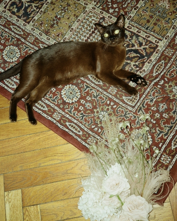 Feerique: все о свадьбе с розовым декором