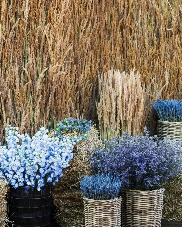 Красивые даты для свадьбы в 2023 году