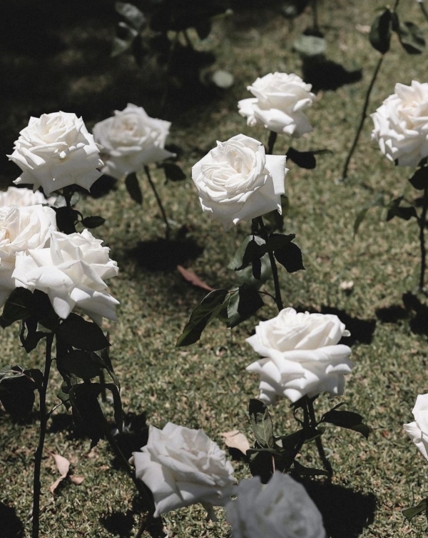 Все о первом танце на свадьбе