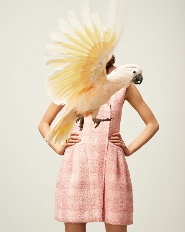 6 сайтов для поиска вдохновения и тренировки