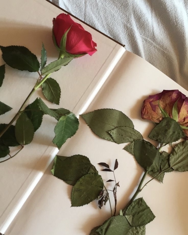 Все о первом танце на свадьбе