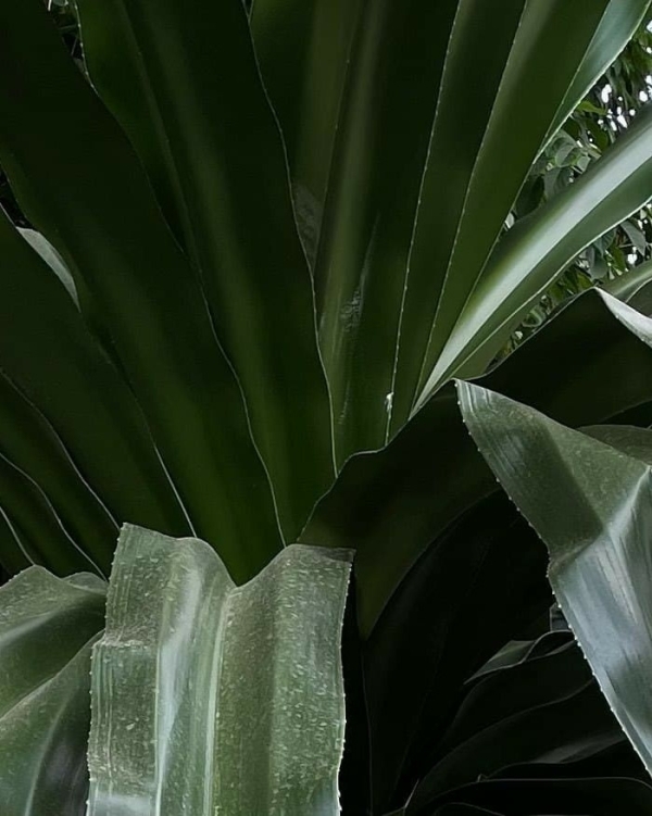 7 подкастов, которые помогут справиться с тревогой