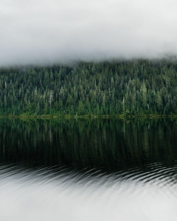 6 сайтов для поиска вдохновения и тренировки
