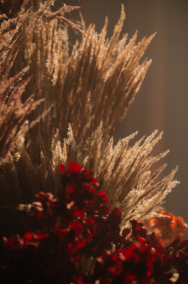 Свадьба с парящими птицами в Barvikha Concert