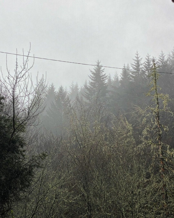 Что делать, если нет сил? Отвечает психолог