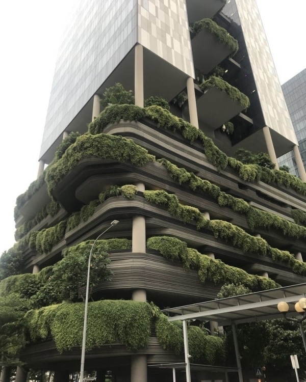 Лучшие не пляжные направления для медового месяца