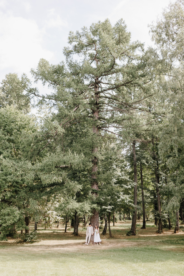 Площадки Усадьба Золотой Лев