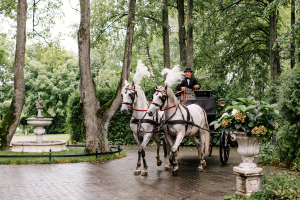 Площадки Усадьба Золотой Лев