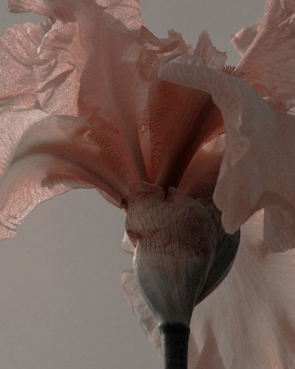 Бьюти-календарь на апрель: когда делать стрижки, окрашивание,