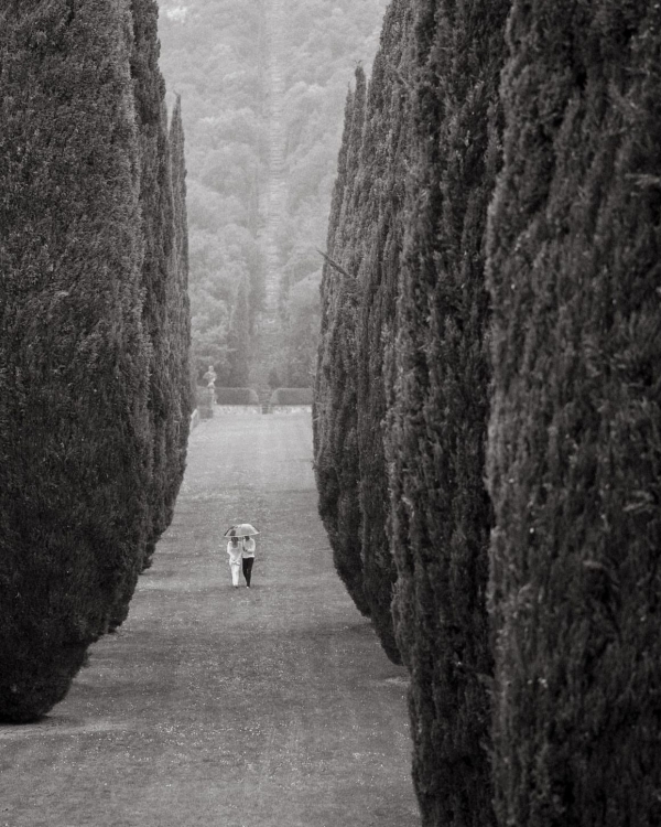 Вопросы, которые невесты чаще всего задают редакции