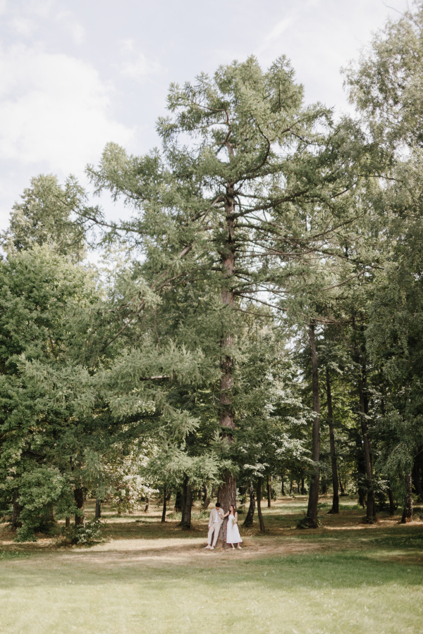 Площадки Усадьба Золотой Лев