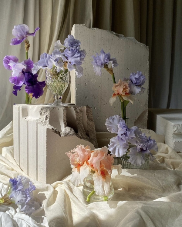 10 сезонных цветов, которые должны быть в