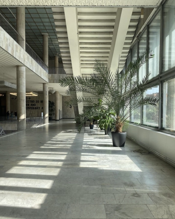 Книжный клуб в «Едва знакомы», бабка с