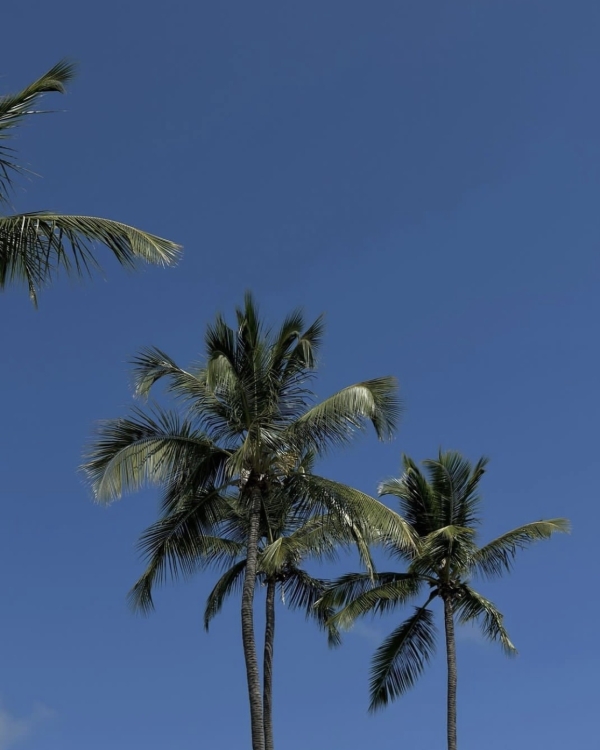 Как отметить годовщину?