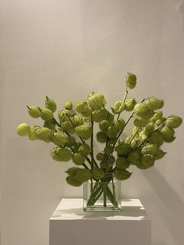 Фисташково-оливковый — главный цвет Месяца моды FW'24. Как