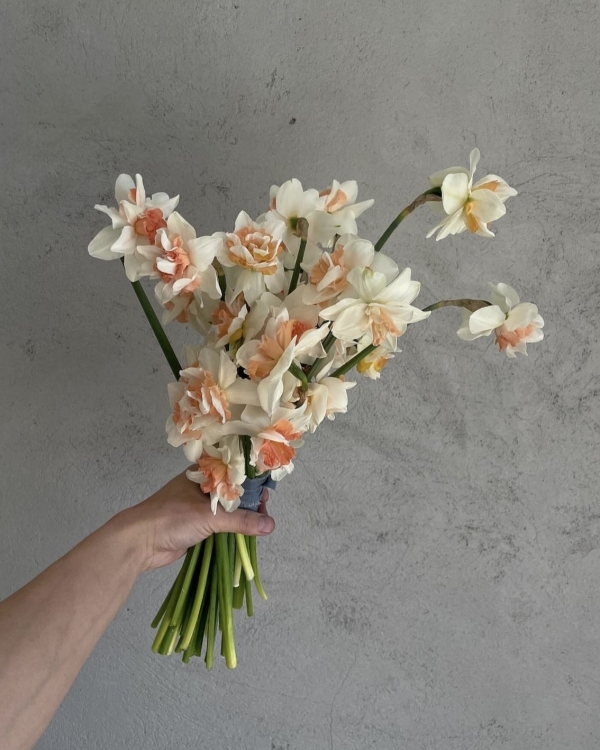 10 сезонных цветов, которые должны быть в