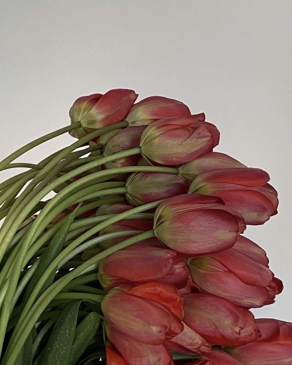 10 сезонных цветов, которые должны быть в