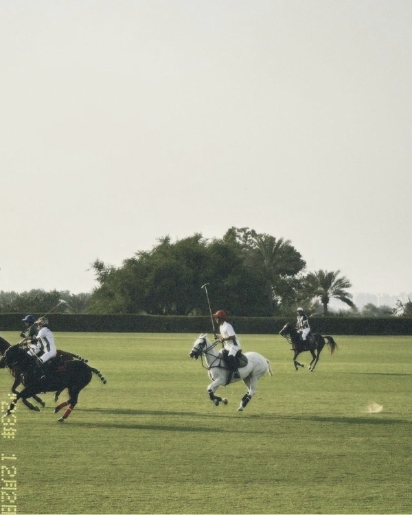Где отпраздновать камерную свадьбу в Дубае?