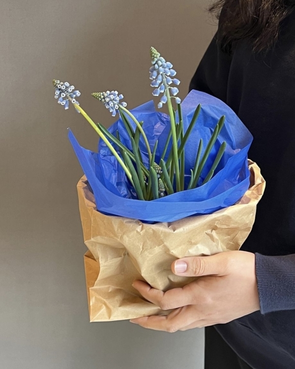 10 сезонных цветов, которые должны быть в