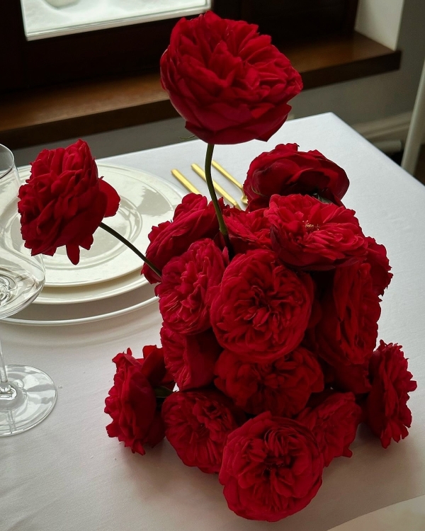 «Во время прогулки с собакой, в поездке